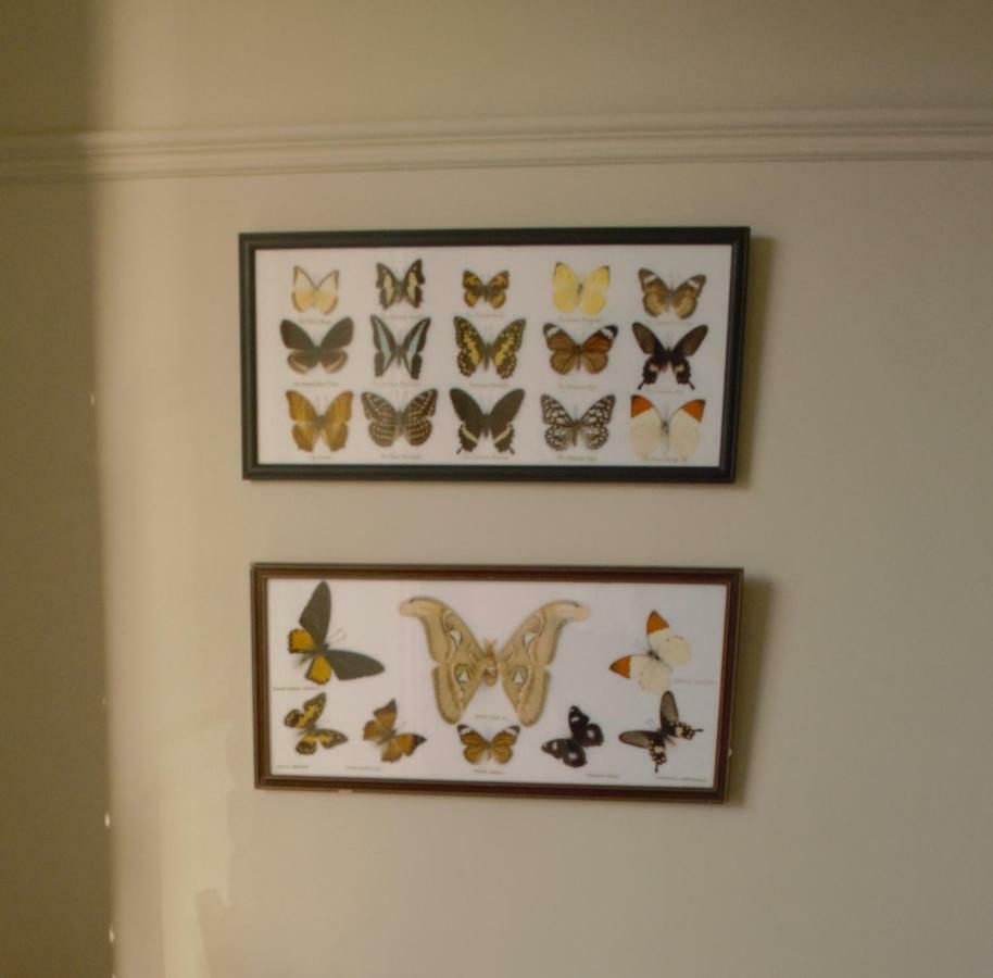 Sankence Lodge B&B Aylsham Kültér fotó